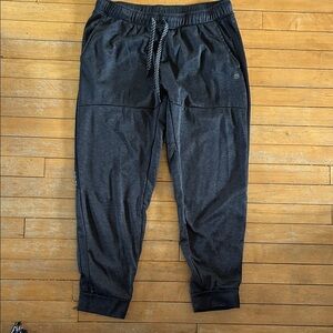 EUC Charcoal Jogger Pants